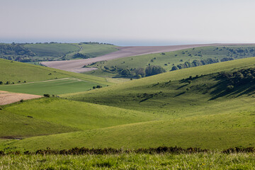 Naklejka premium Looking out over the South Downs towards the coast, from Kingston Ridge