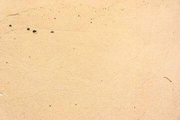 Sand texture. Sandy beach for background