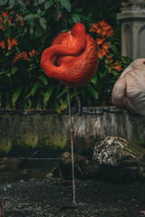 Orange flamingo sleeping on one leg