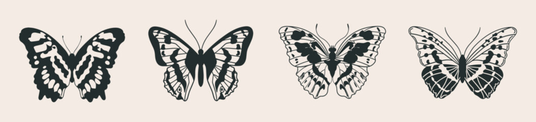 Set of three elegant butterflies in vintage style, top view. Moth vector illustration, hand drawn with ink. Graceful monochrome exotic insects.	