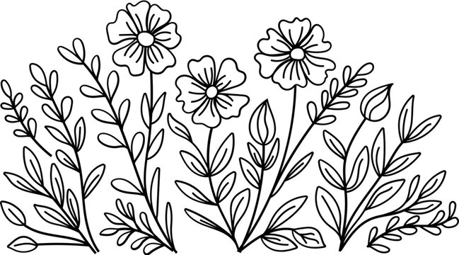 Wildflowers in the field 