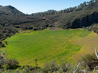 Panoramic view of the Mertele Caldera with its orchards in Gran Canaria Spain