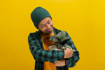Thrilled Asian man in a beanie and casual clothes excitedly holds a Pin-stripe Calathea (Calathea ornata) houseplant in a white pot. Isolated on a yellow background.