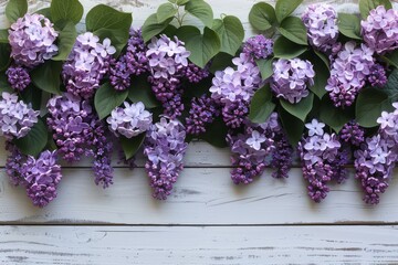 Lovely lilac blossoms covering the entirety of a pristine white wooden surface, creating a full floral display