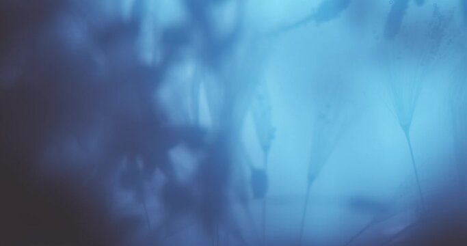 Floral Underwater Space Submerged in a Cyan Liquid