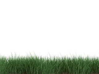 3D RENDER LAWN, WOOD GRASS ON ISOLATED BACKGROUND