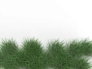 3D RENDER LAWN, WOOD GRASS ON ISOLATED BACKGROUND