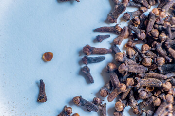 Spice cloves on white background.