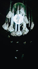 Vintage Illumination, an termite Flight