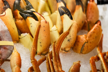 Stone Crab and Snow Crab Legs