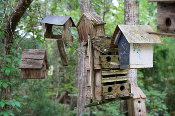 wooden bird house