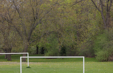 Outdoor green space for relaxation and sports. Concept of outdoor activity. Healthy lifestyle and wellbeing.