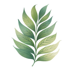 Artistic Green Leaf Illustration on transparent Background
