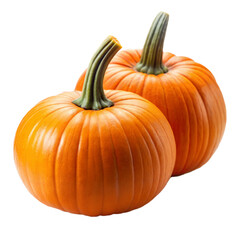 Two Pumpkins on a Transparent Background