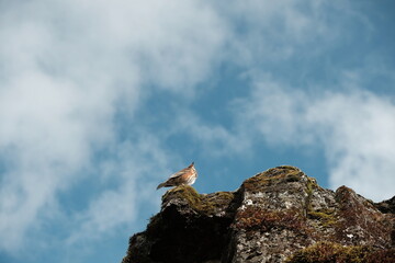 landscape with clouds