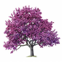 Stunning watercolor illustration of a majestic tree with vibrant purple blooms against a clear background.