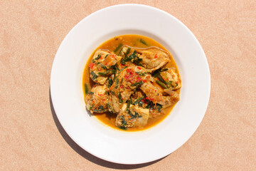 Ayam Rica Rica. Traditional dish from Manado, Indonesia, boiled chicken with the addition of tofu and using spicy spices and garnish served on a white plate