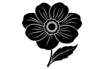 anemone flower vector illustration