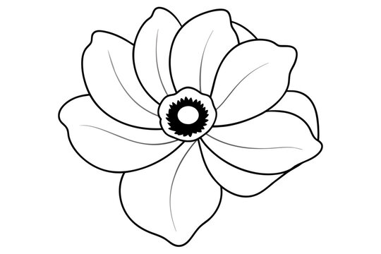 recommend clip art: anemone flower vector illustration