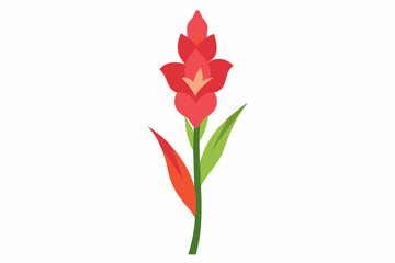 gladiolus flower vector illustration