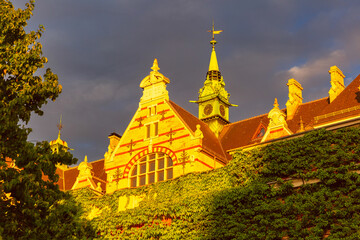 Fototapety na wymiar - Fototapeta24.pl