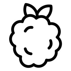 raspberry icon 