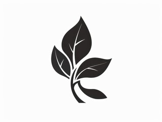 natural health leaf logo design, black and white monochromatic
