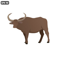buffalo animal vector isolate on white background