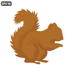vector illustration of a squirrel animal on an isolated white background