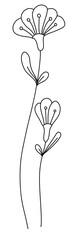 Monoline of flower in single color style
