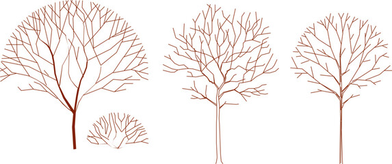 Fototapeta premium vector illustration sketch design drawing of plant tree for complete architectural design