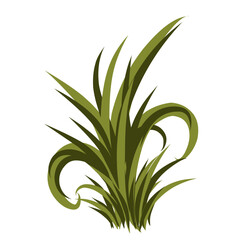 Grass illustration