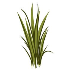 Grass illustration