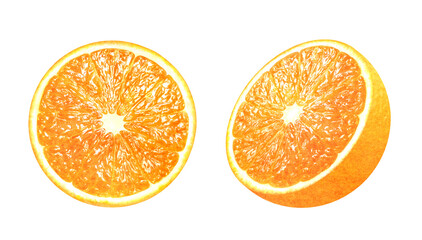 Illustration of a halved orange and a sliced orange. Fresh fruit on white background. Watercolor.