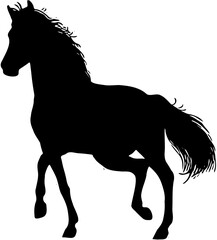 silhouette of Horse - animals - animation of horse attraction