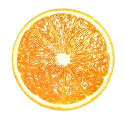 Illustration of a sliced orange. Fresh fruit on white background. Watercolor.