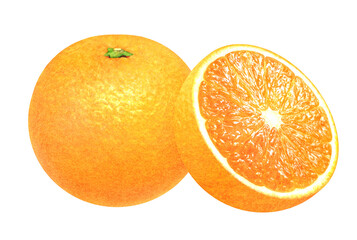 Illustration of a whole orange and a halved orange. Fresh fruit on white background. Watercolor.