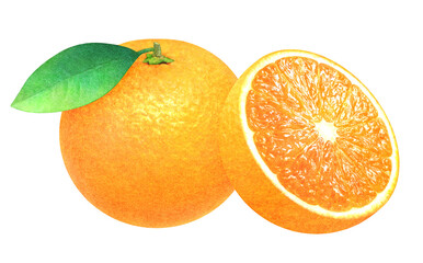 Illustration of ripe orange with a leaf. Halved orange. Fresh fruit on white background. Watercolor.