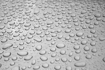 Rainwater Droplets on Shiny Metallic Chrome Silver Background.
