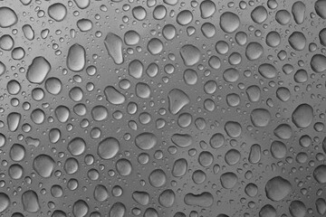 Rainwater Droplets on Shiny Metallic Chrome Silver Background.