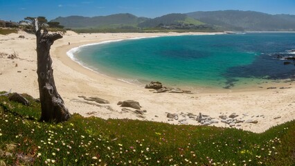 Golden sandy beach cove of Carmel River State Beach, Carmel, California, United States of America.