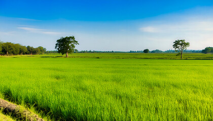 Obraz premium the countryside of Korea, 한국의 시골