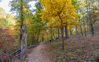 Sunny view of the beautiful fall color of Hobbs State Park-Conservation Area