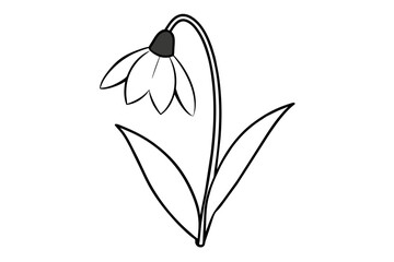 snowdrop flower vector illustration