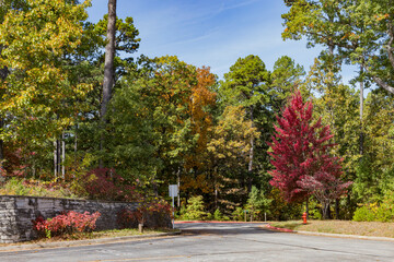 Naklejka premium Sunny view of the beautiful fall color of Hobbs State Park-Conservation Area