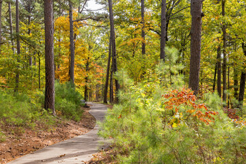 Sunny view of the beautiful fall color of Hobbs State Park-Conservation Area