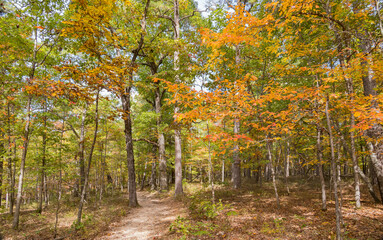 Sunny view of the beautiful fall color of Hobbs State Park-Conservation Area