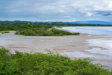 salt marshes and lush greenery of cabo rojo wildlife refuge in southwestern puerto rico