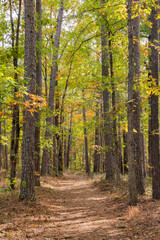 Sunny view of the beautiful fall color of Hobbs State Park-Conservation Area