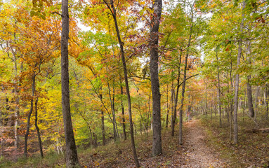 Obraz premium Sunny view of the beautiful fall color of Hobbs State Park-Conservation Area
